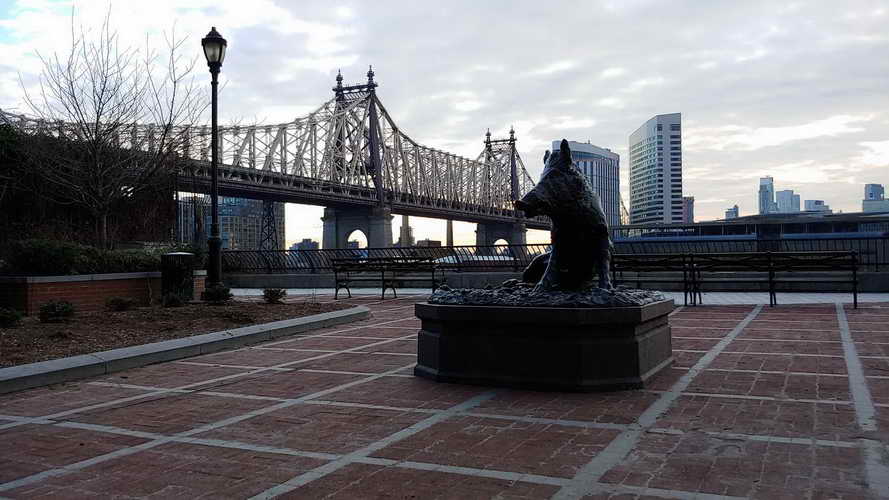NYC_2020-01-27 07-57-58_CELL_20200127_075758_HDR